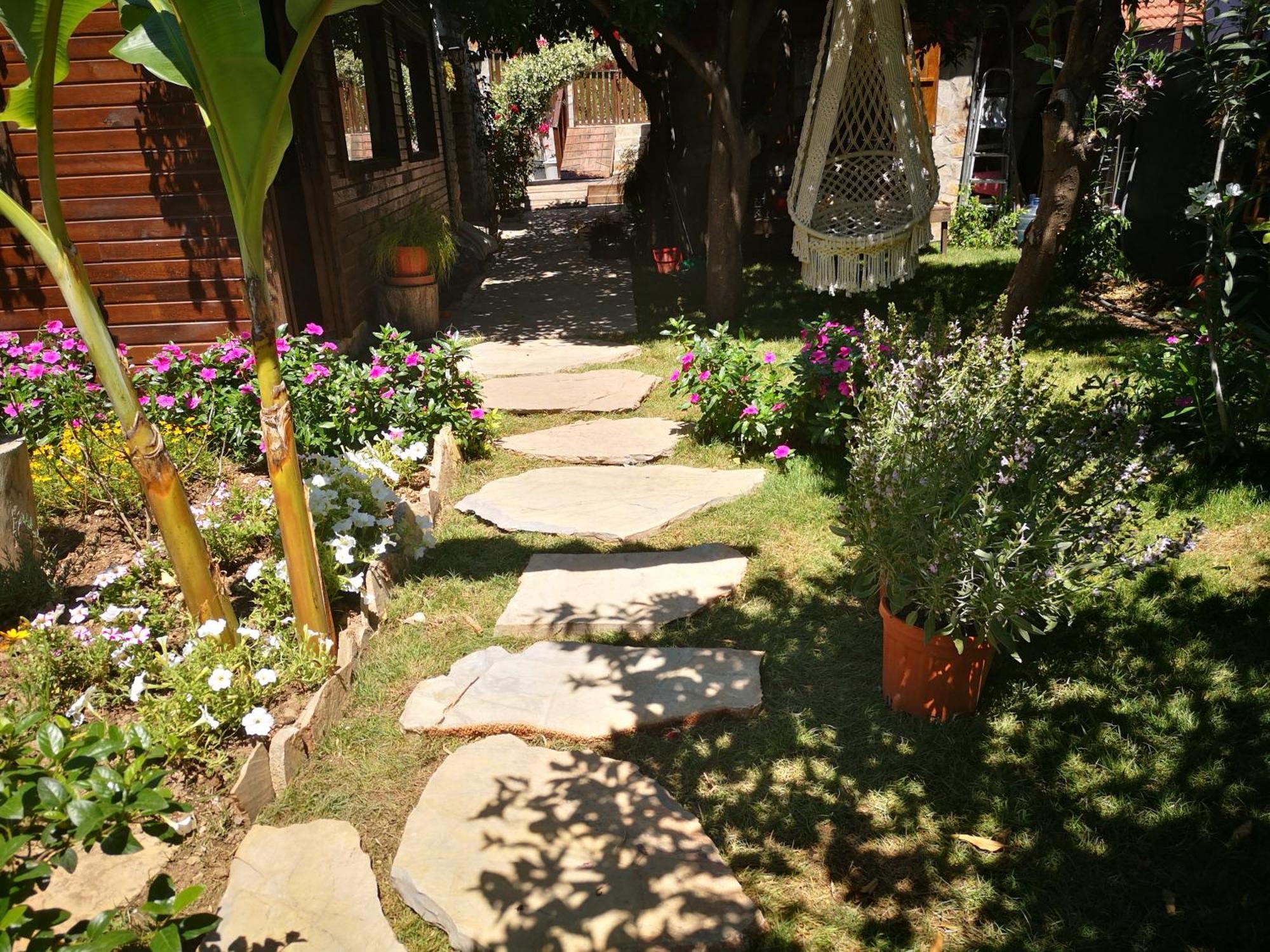 Demeter Rose Stonehouse Pansion Homestay Antalya