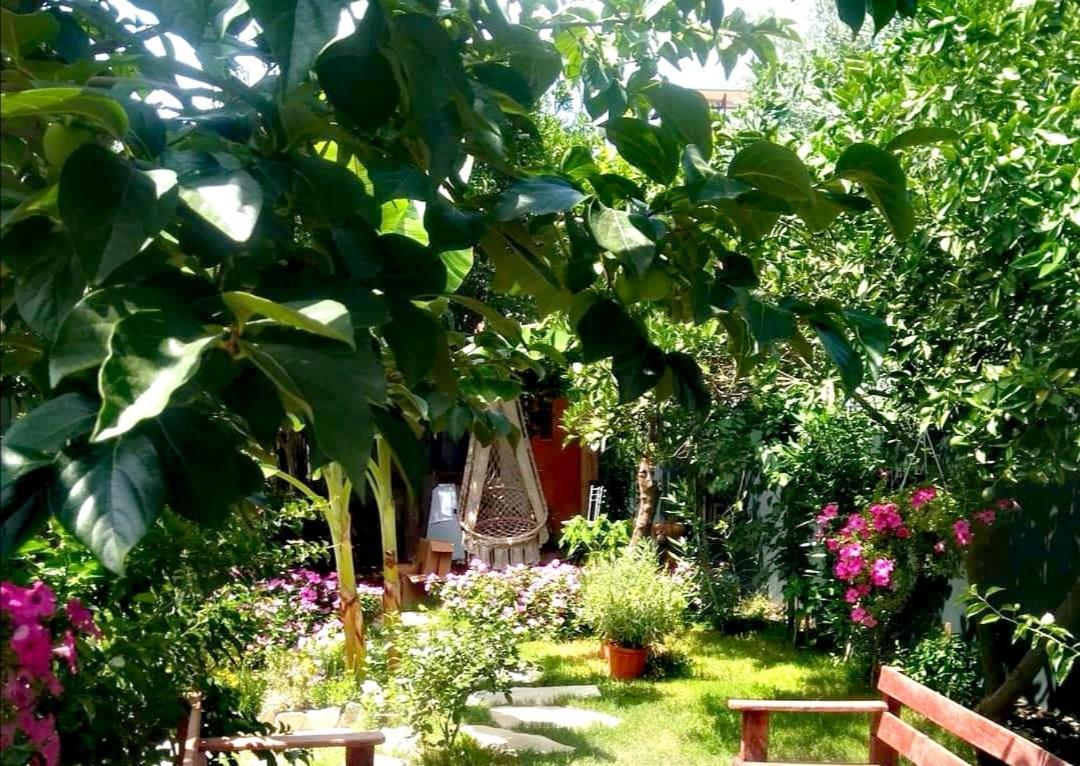 Demeter Rose Stonehouse Pansion Homestay *